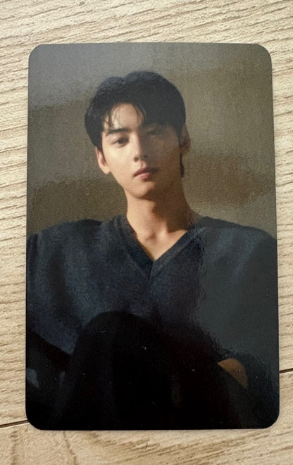 Cha Eunwoo X Norang Chicken Official Photocards 3PCS