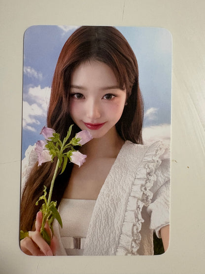 IVE Wonyoung Hapa Kristin Photocards Ver. 2 / 4PCS